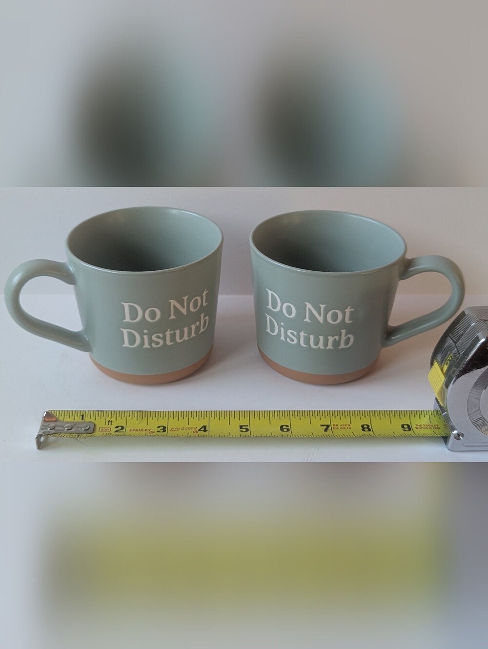 'Do Not Disturb' Ceramic Mug Set - Sage Green